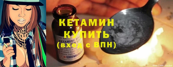 дмт Богданович