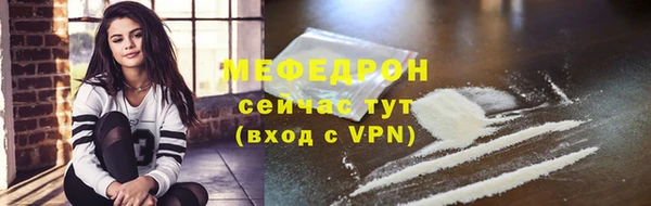 дмт Богданович