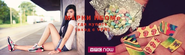 дмт Богданович