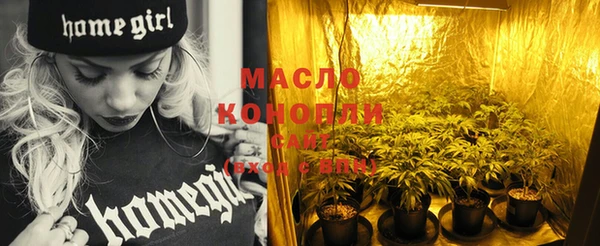 дмт Богданович