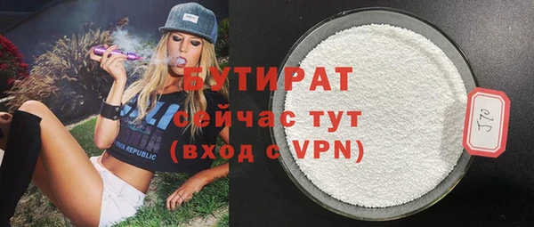 дмт Богданович