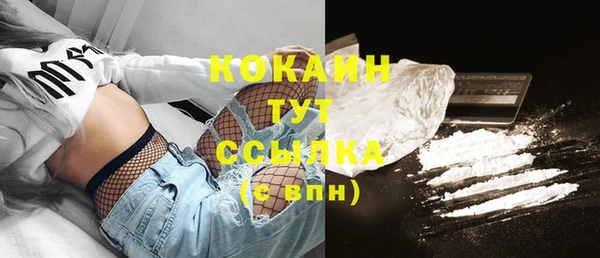 соль ск Богородицк