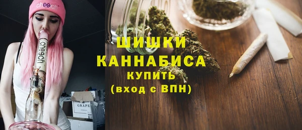 СК Богородск