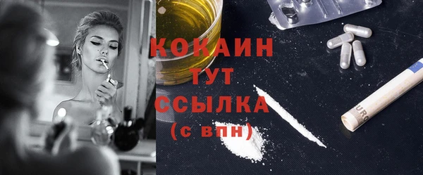 дмт Богданович