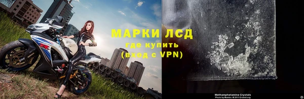 дмт Богданович