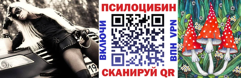 Галлюциногенные грибы Cubensis  купить   Мостовской 
